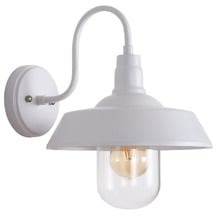 Coulson Metal & Glass Outdoor Wall Light